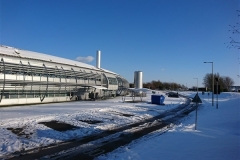 02_DLS_Feb.2019_DiGenova