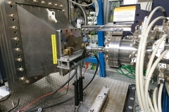 07_DLS_Feb.2019_DiGenova